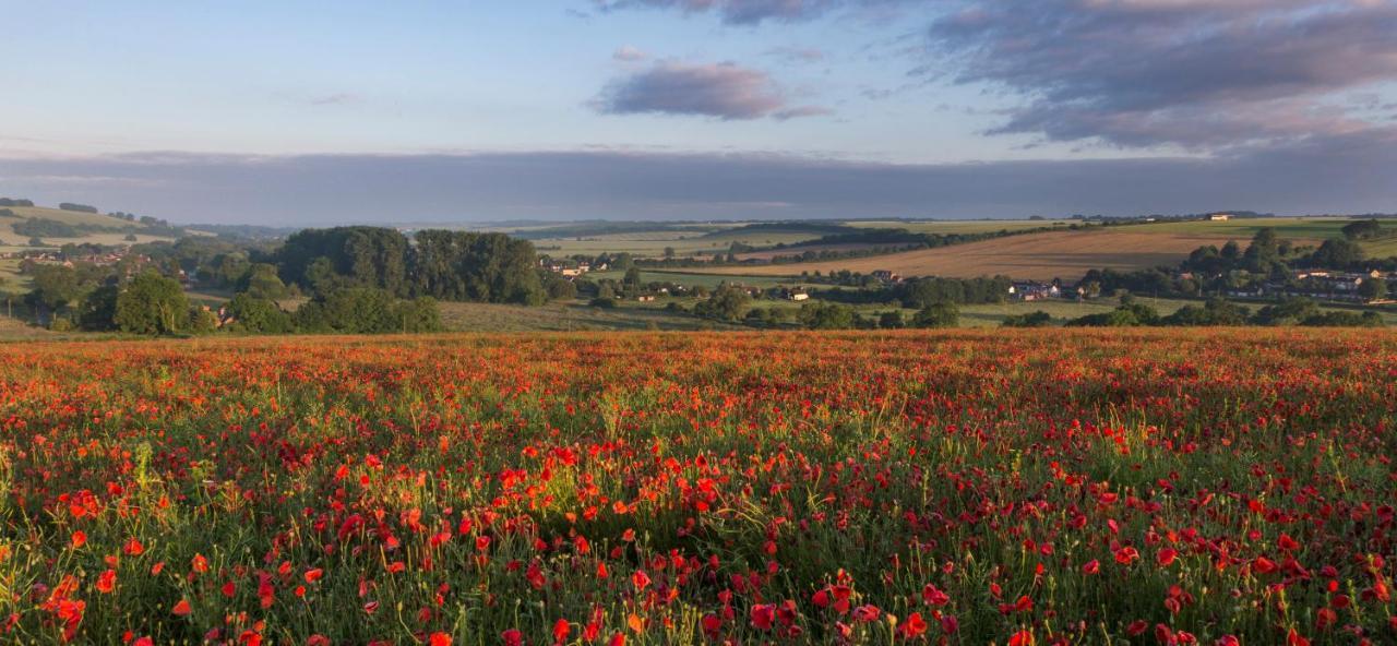 The Queen'S Head At Broad Chalke Hotel Buitenkant foto